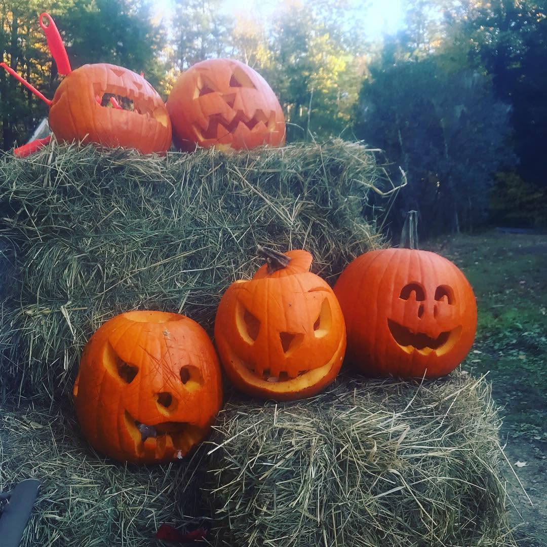 Carved pumpkins displayed on hay bales at a previous Bean family Oktoberfest