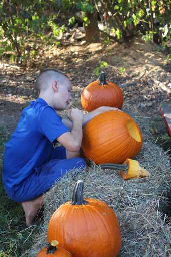 A child carving pumpkins on hay bales at a previous Bean family Oktoberfest